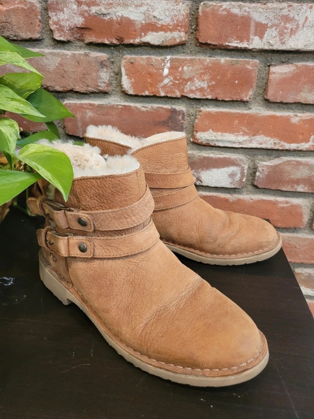 UGG Chestnut Shearling Short Boot - Picture 4 of 8